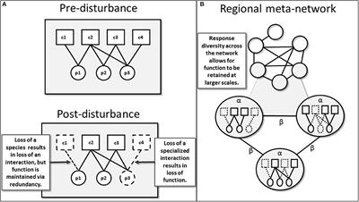 Interaction Diversity Maintains Resiliency in a Frequently Disturbed Ecosystem